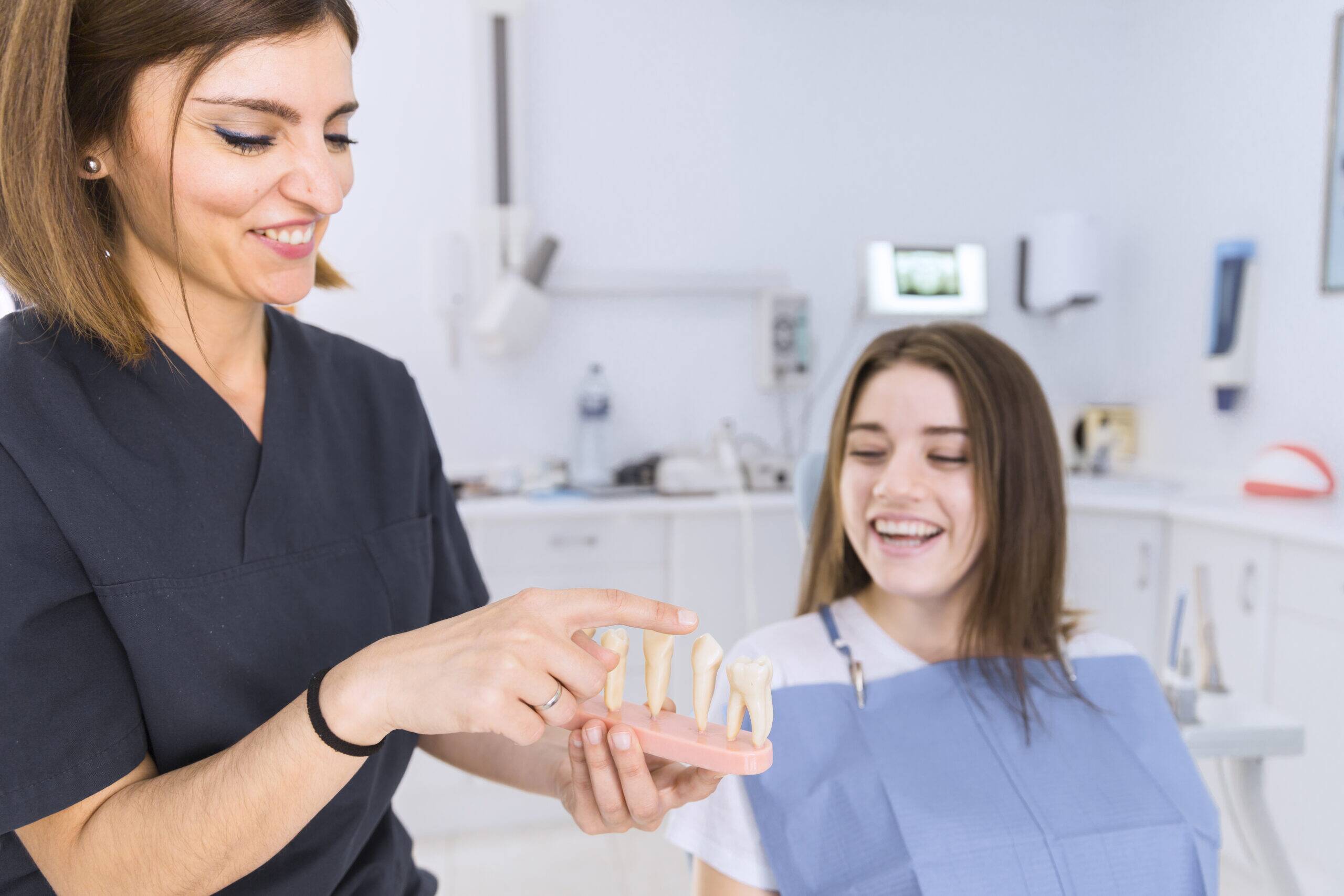 Female dentist explaining tooth structure using a dental model to a smiling patient during a dental consultation.